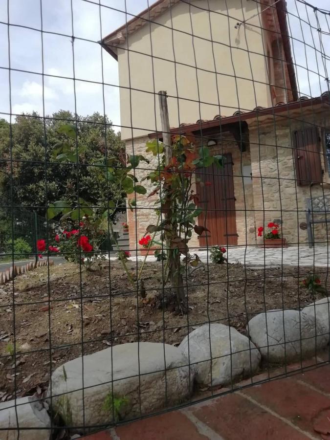 La Casetta Della Letizia Colle  Exteriör bild